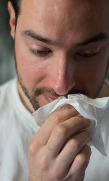 Sterilair Sintomas da rinite